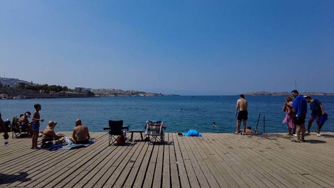 Yüzlercesi sahile vurdu, dokunan anında zehirleniyor! Mavi renklilere sakın yaklaşmayın, ölüm tehlikesi var 10